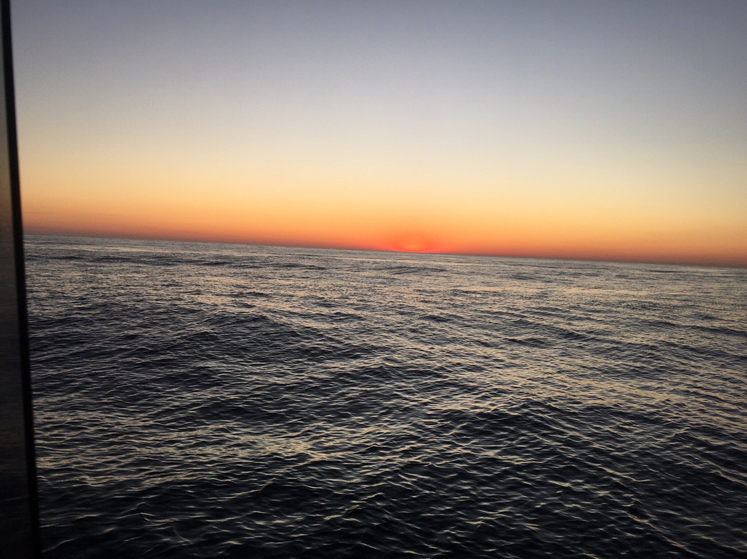 Yamba Fishing and Charters景点图片