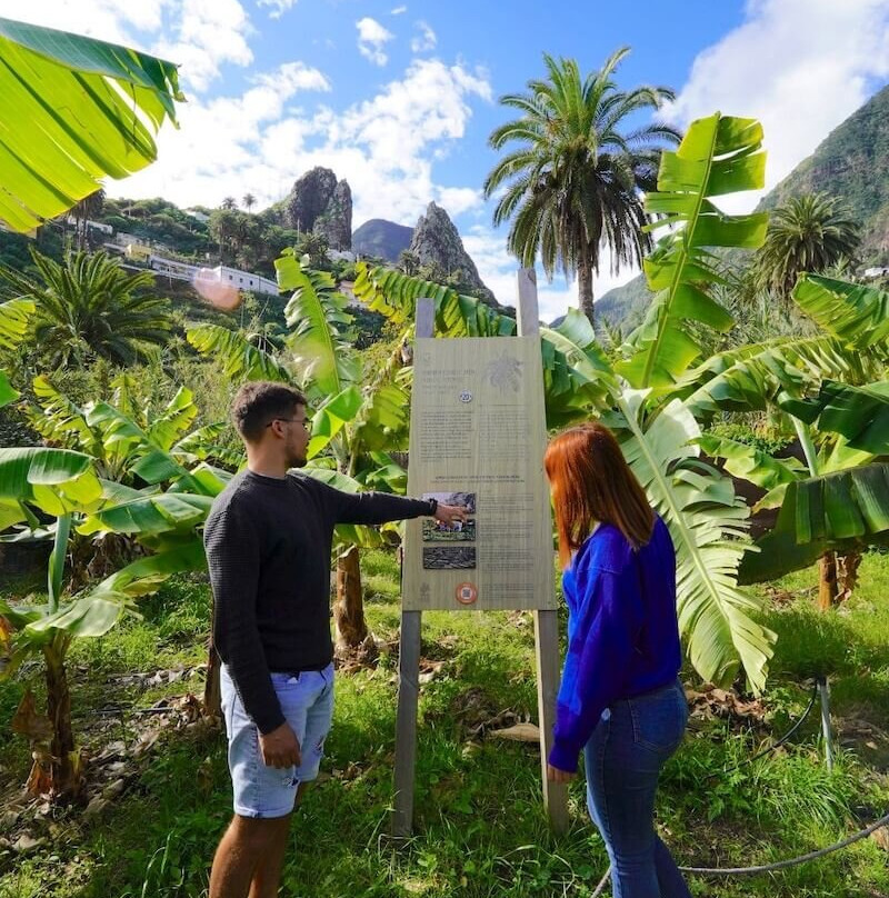 MUSEUM PEG LOS TELARES, The Ethnographic Park of La Gomera景点图片