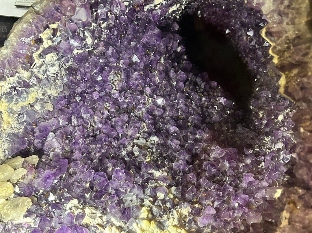 Museum of World Treasures-威奇托必去景点