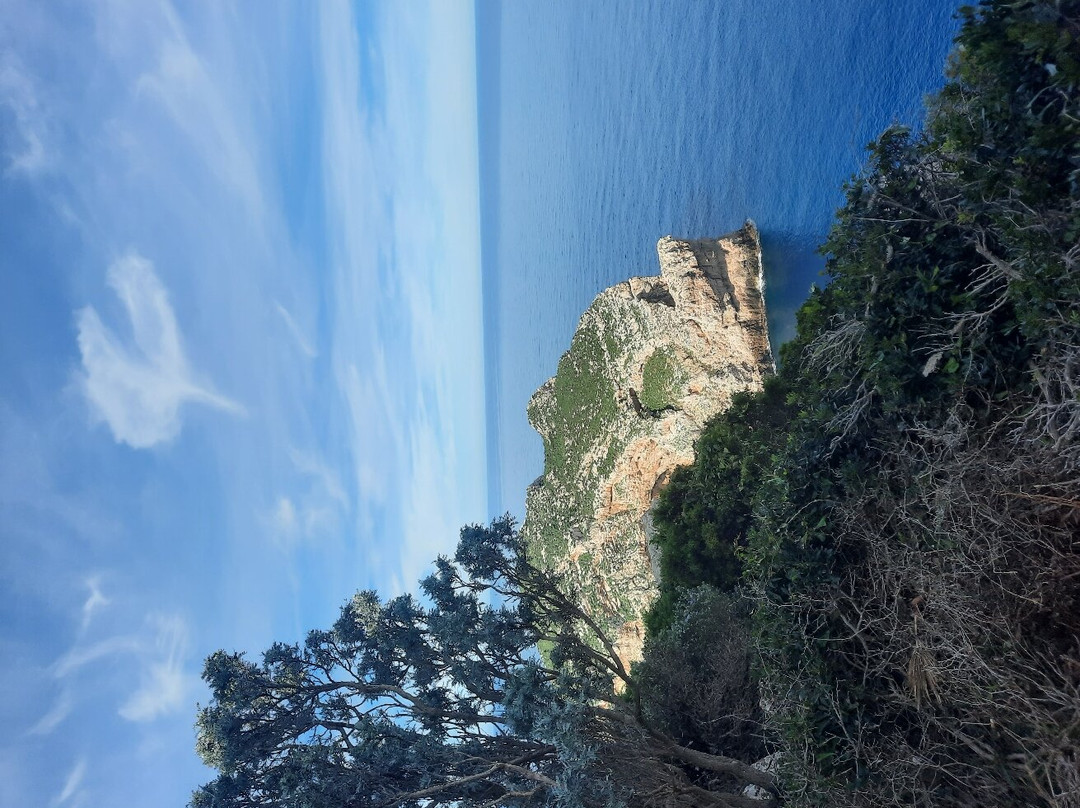 Grotta dei Vasi Rotti-阿尔盖罗必去景点