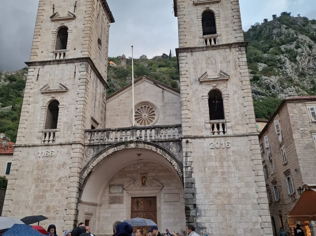 Kotor Tour Guide景点图片