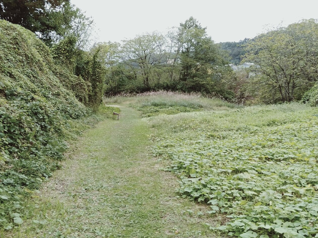 Nohe Castle Ruins-二户市必去景点