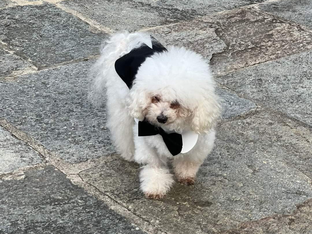 Hotel Terre dei Salici主图