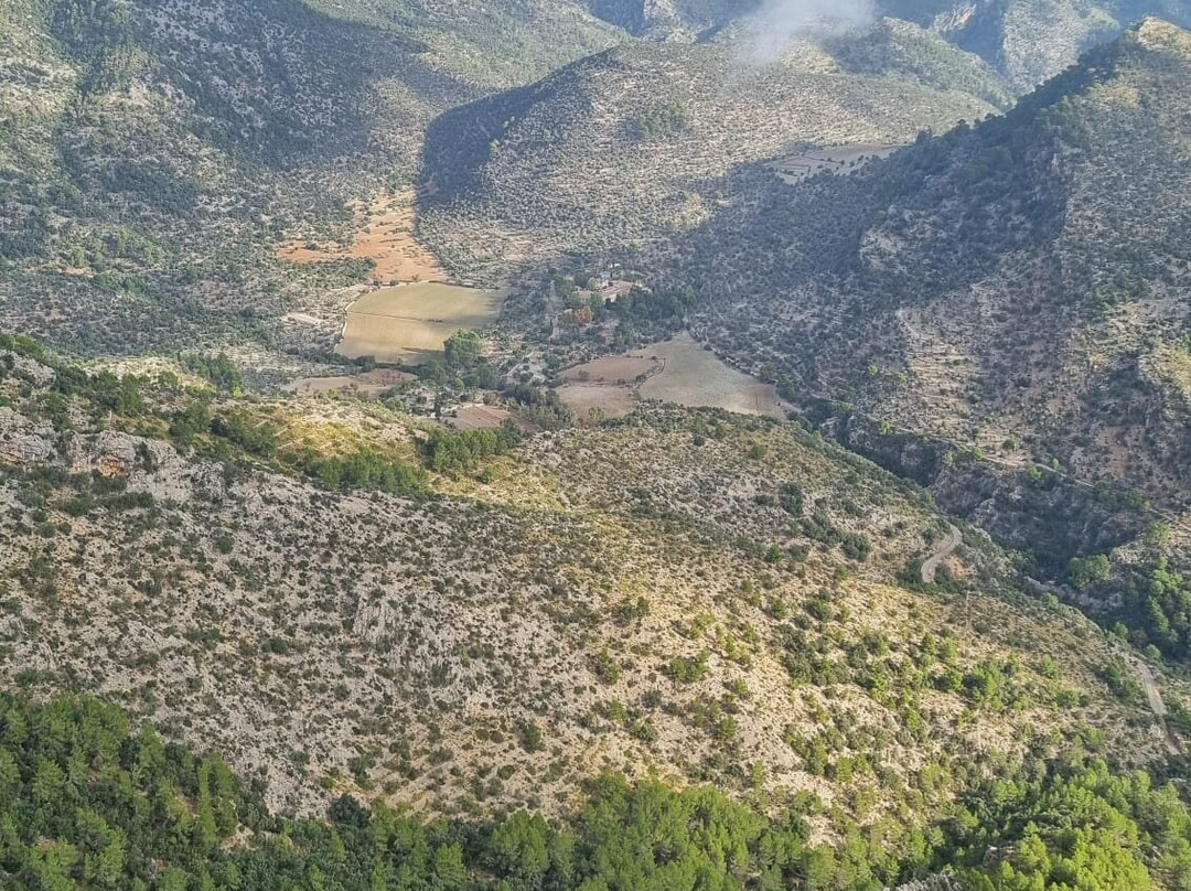 Castell d Alaro景点图片