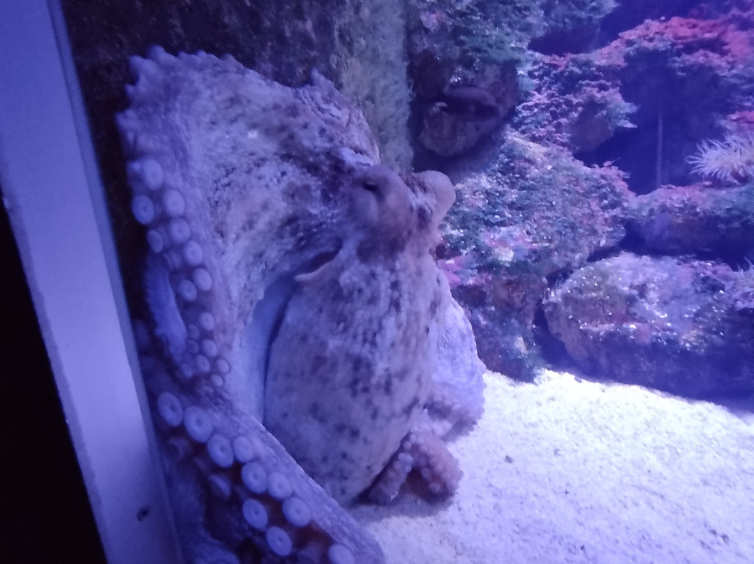 Rostock Zoo景点图片