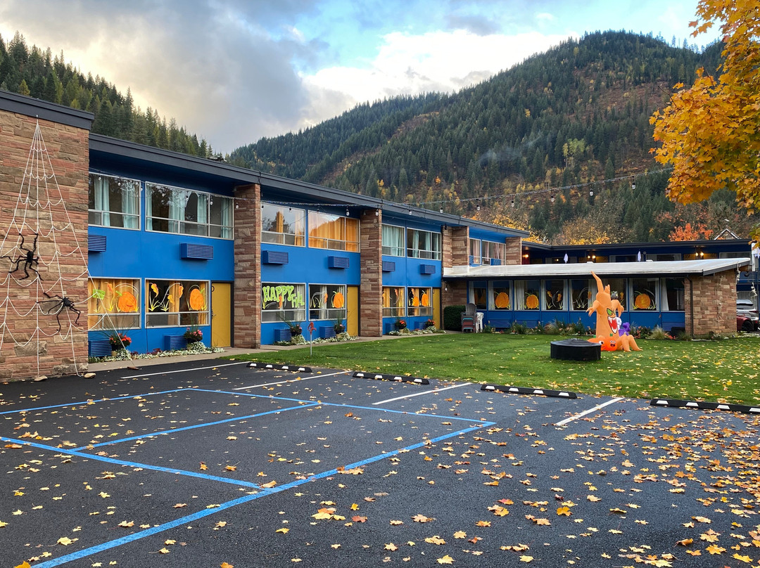 The Stardust Motel主图