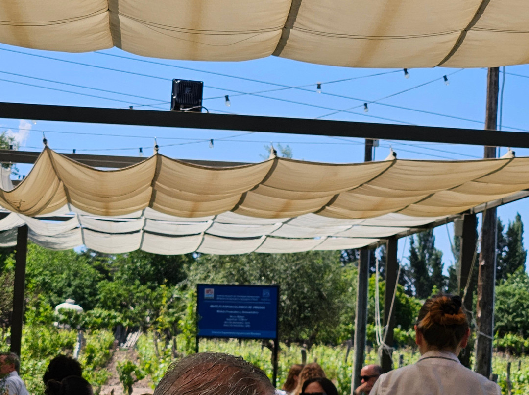 Passeios Vinícola Mendoza-门多萨必去景点