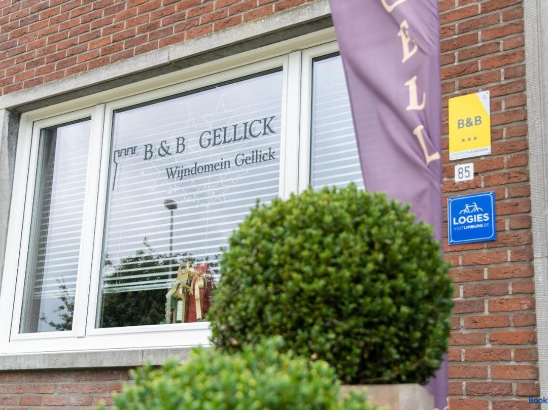 B&B Gellick主图