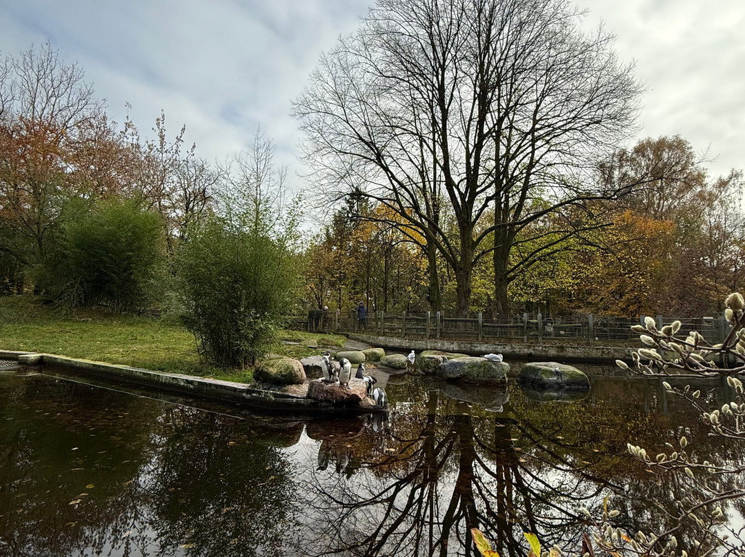 Tierpark Neumünster景点图片