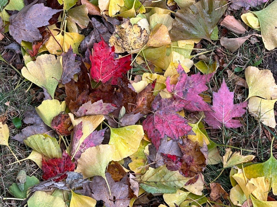 Lake Bluff Bird Sanctuary-Manistee必去景点