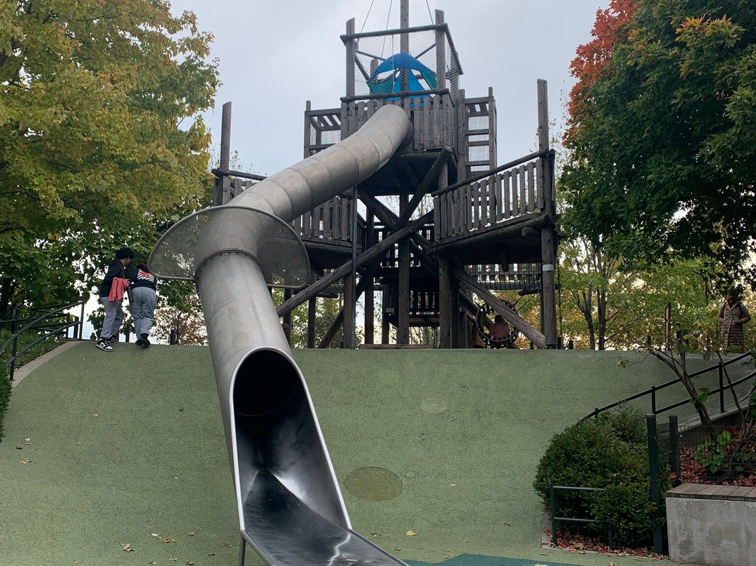 麦琪戴利公园-芝加哥必去景点