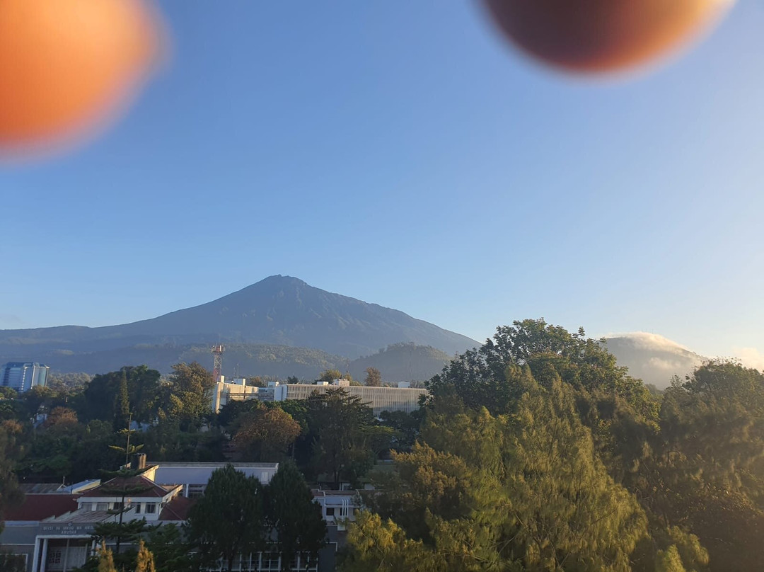 Explorian Safaris-莫西必去景点