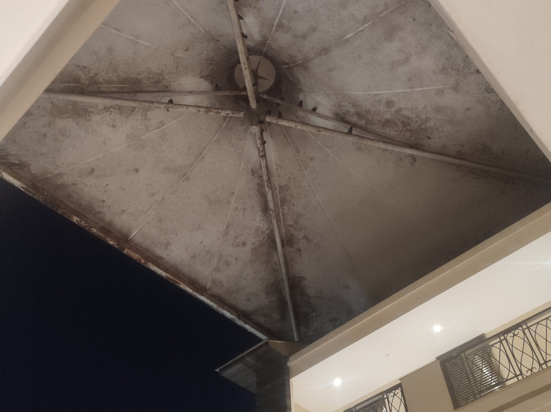 The Fern Residency, Miramar主图