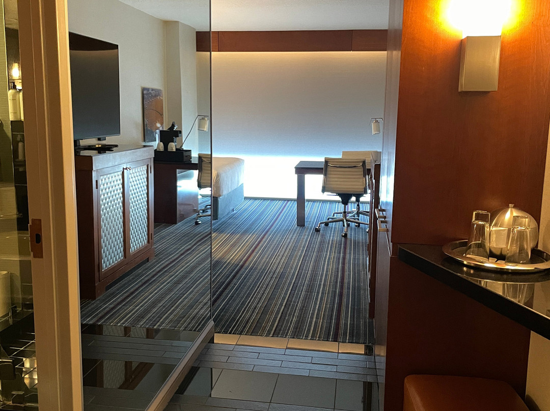 DFW机场君悦酒店主图