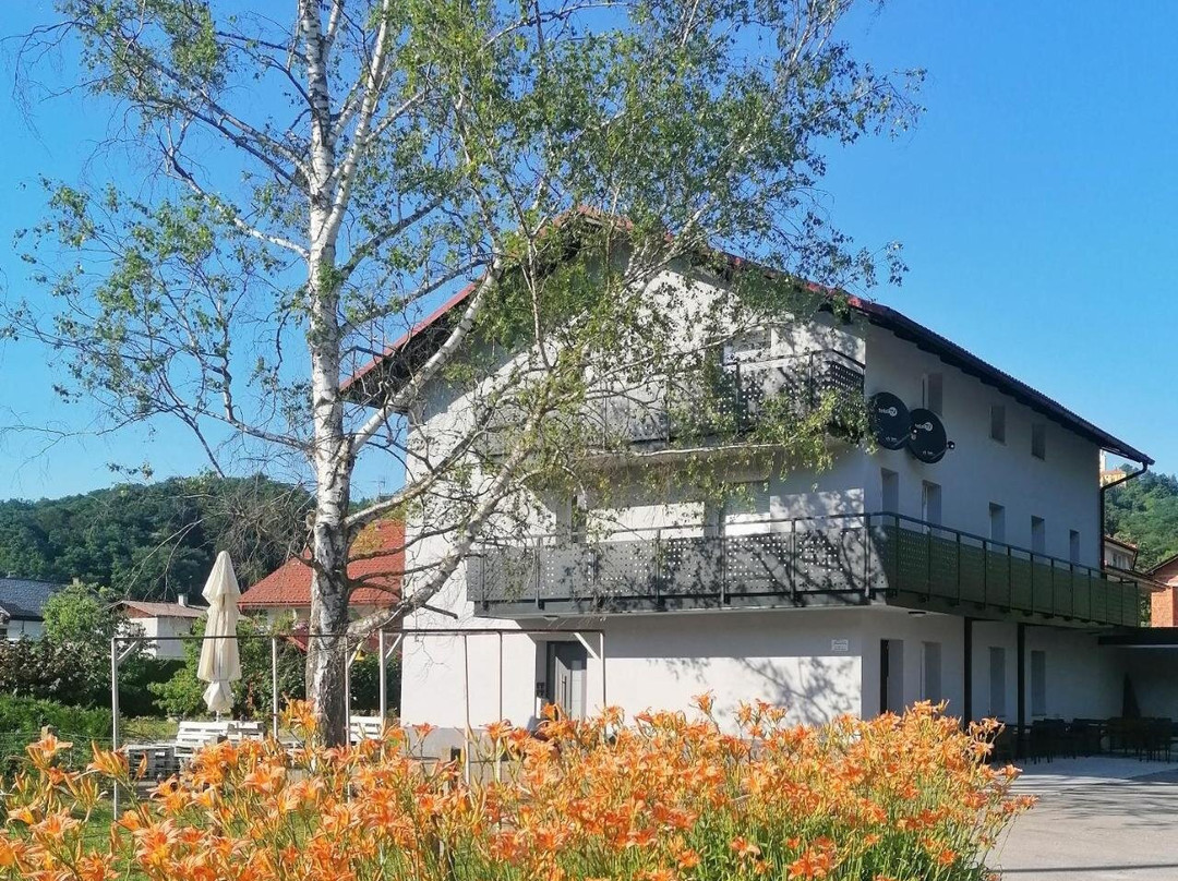 Apartments & Rooms Sasa