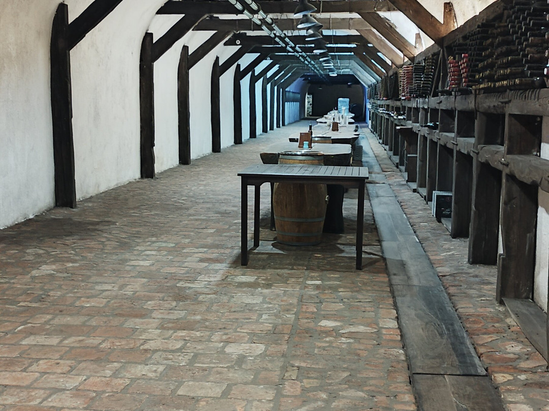 Kvareli Wine Cave-Kvareli必去景点