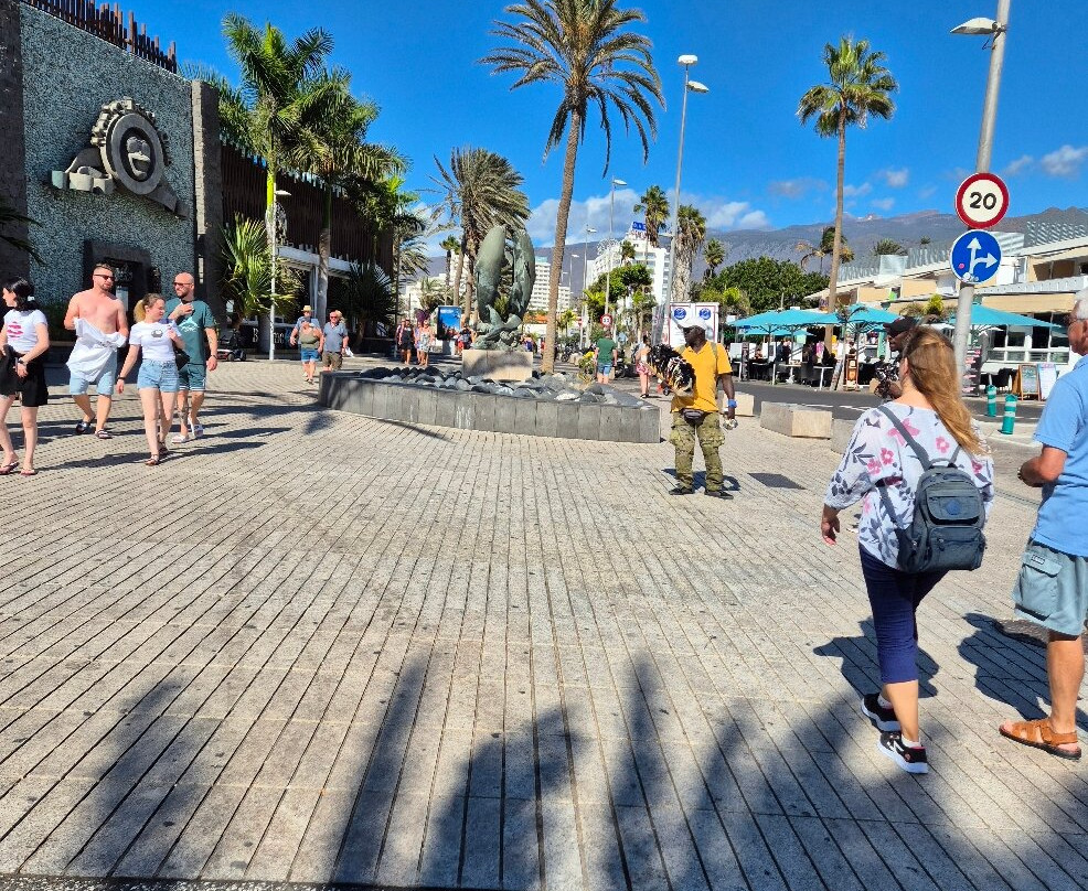 Dolphin Statue-奥德杰海岸必去景点