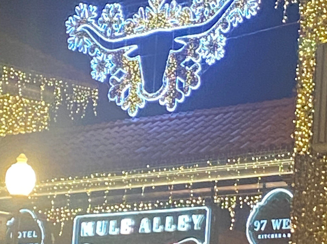 Billy Bob's Texas-沃思堡必去景点