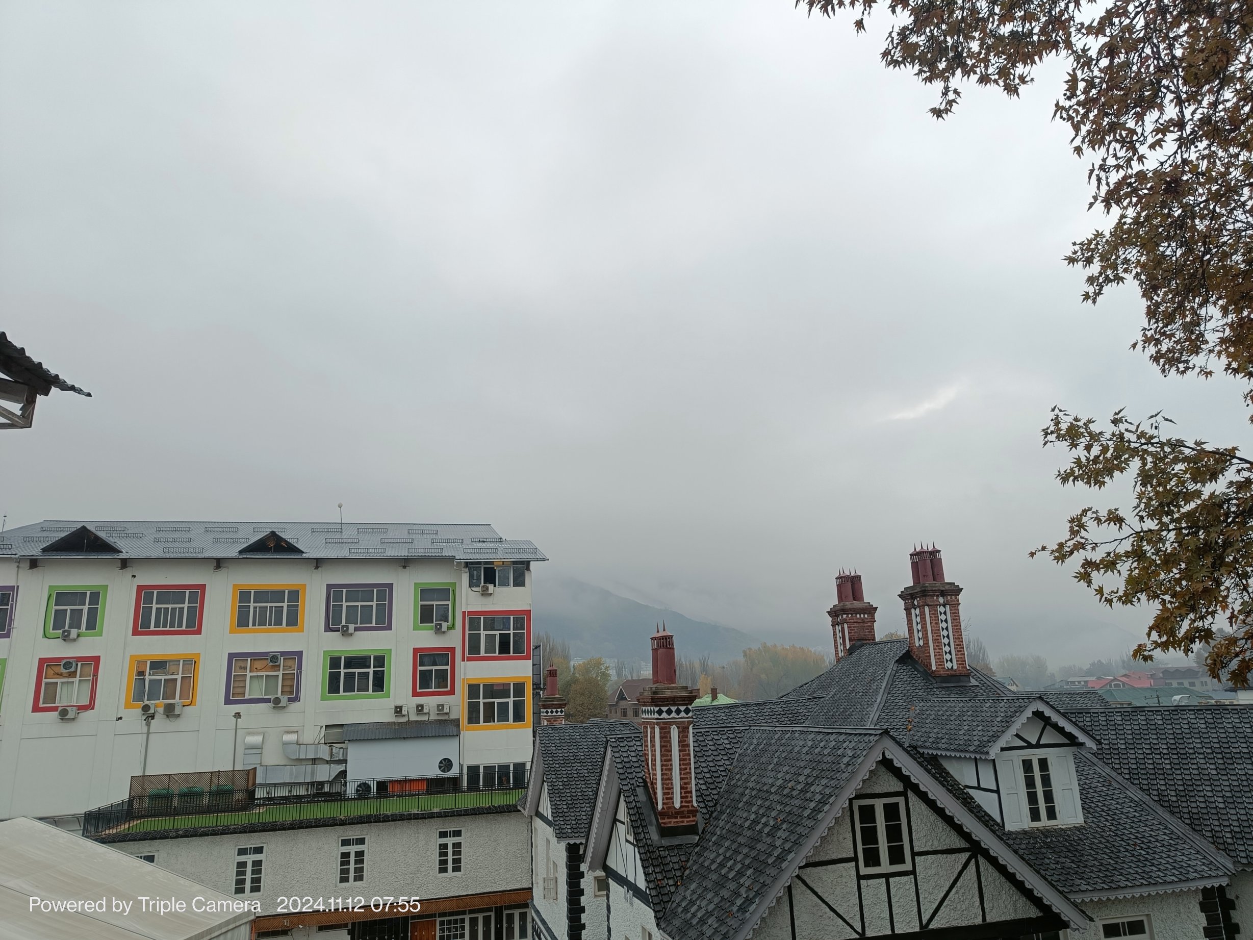 柠檬树斯里纳格酒店-酒店景观