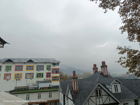 柠檬树斯里纳格酒店主图