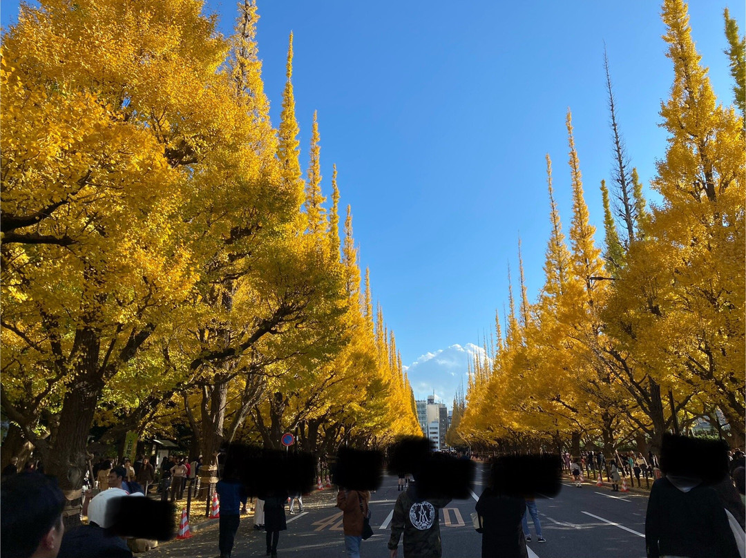 Jingu Gaien Ginkgo Tree-lined Street-港区必去景点