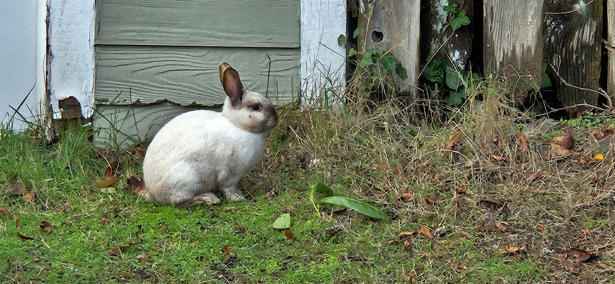 Land's End at Cannon Beach-官方