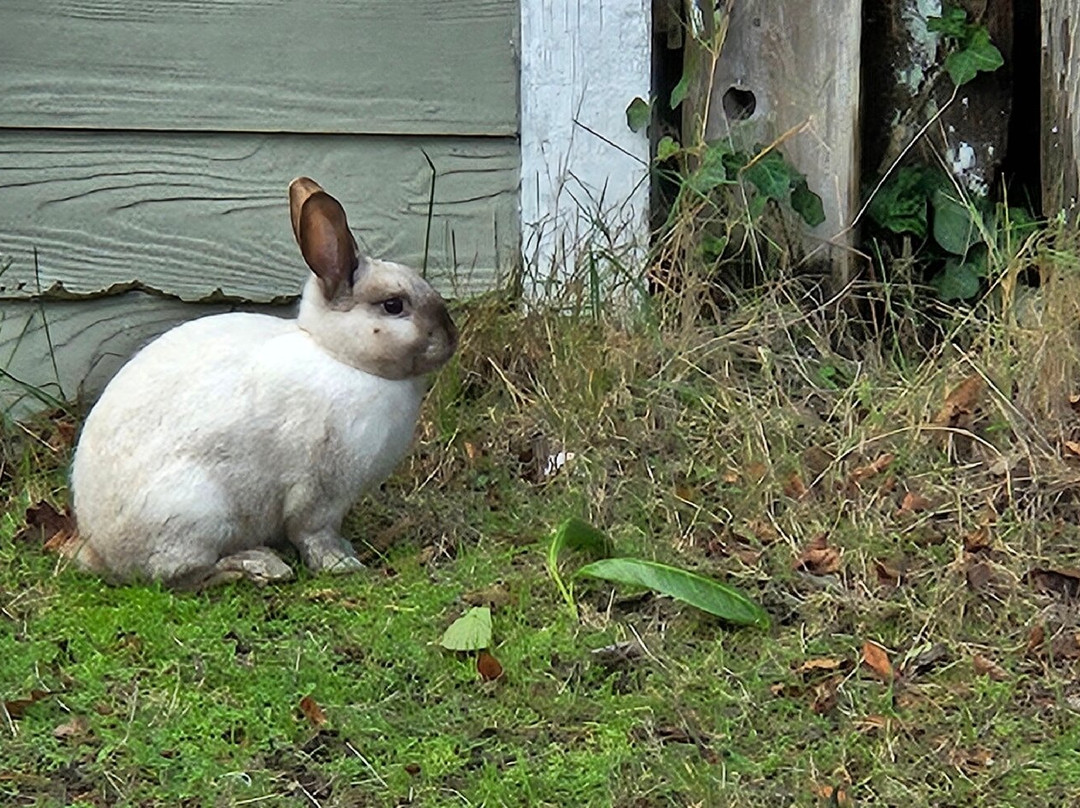 Land's End at Cannon Beach主图