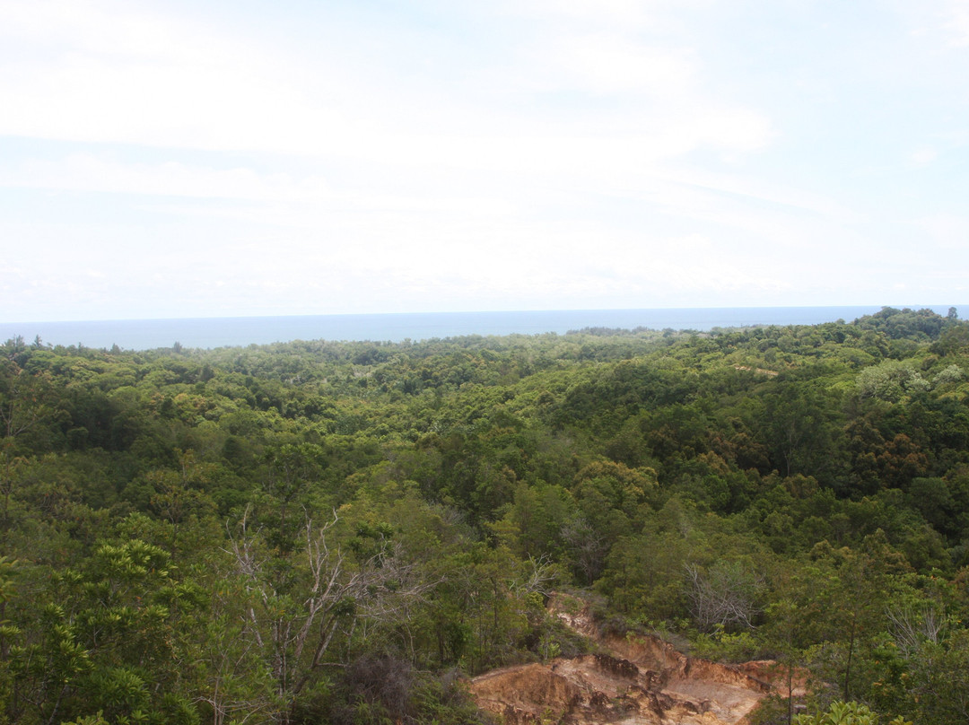 Bukit Shahbandar Forest Recreation Park-斯里巴加湾必去景点
