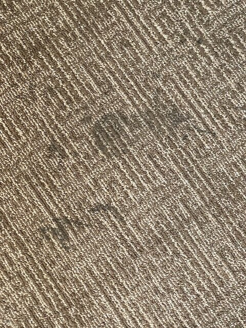 Comfort Inn & Suites Omaha Central主图