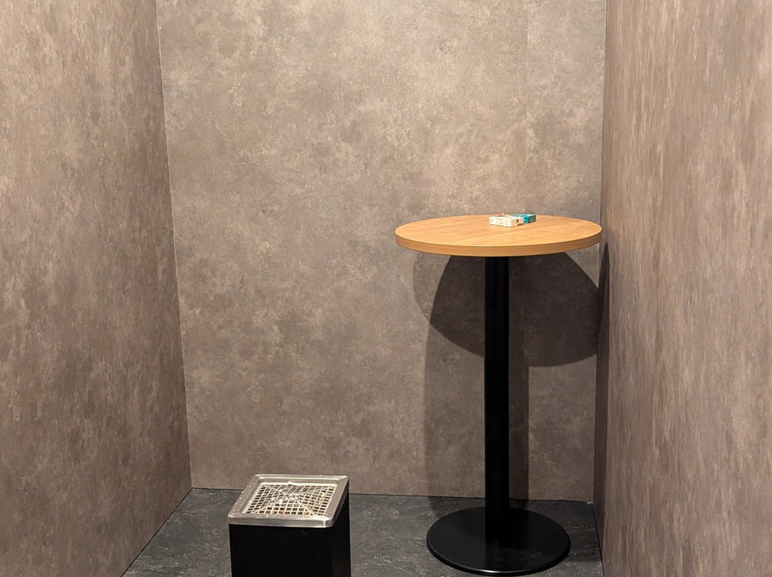 川崎戴哇鲁内酒店主图