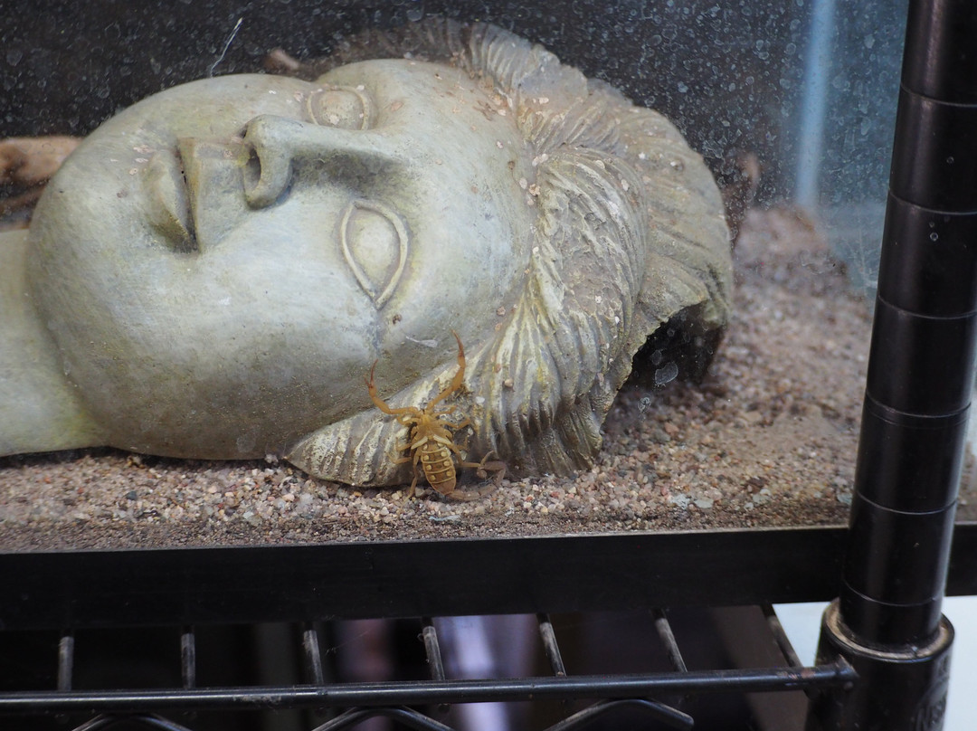 Phoenix Herpetological Sanctuary-斯科茨代尔必去景点