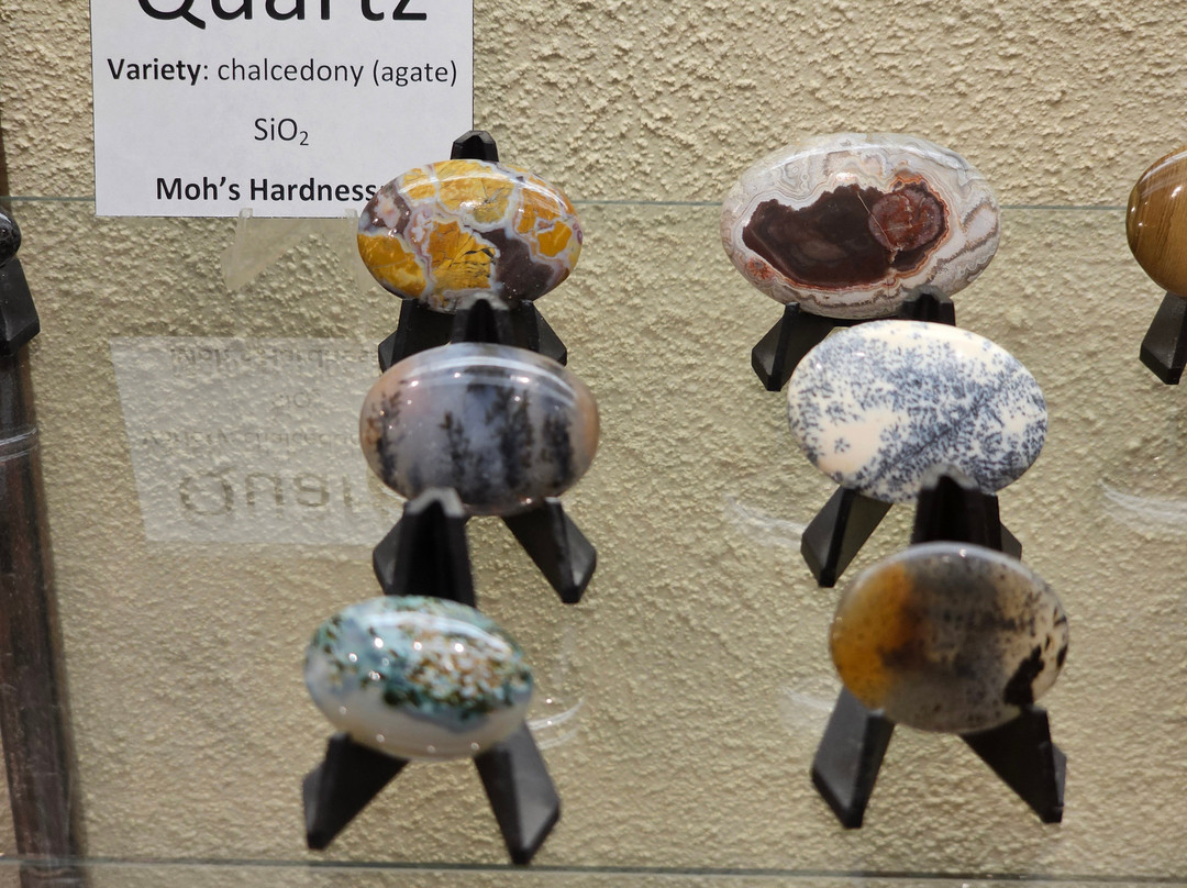 Bob Campbell Geology Museum景点图片