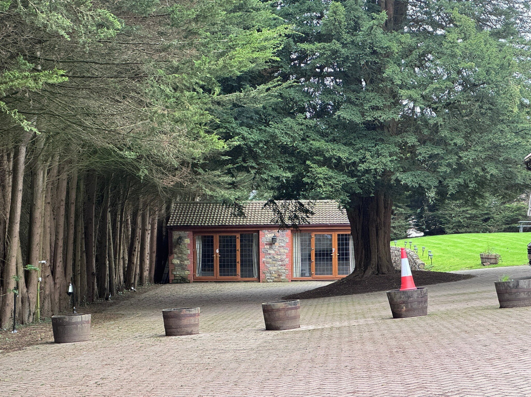 Acorns Guest House主图