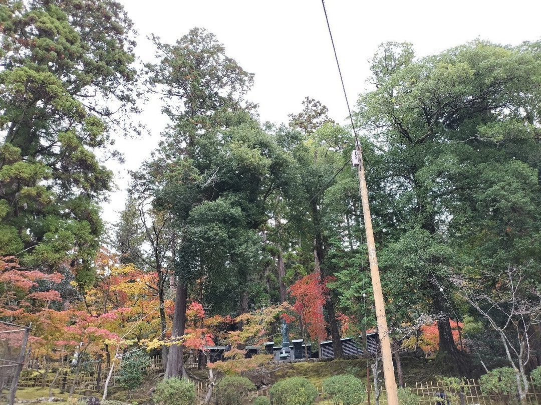 Saimyo-ji Temple-甲良町必去景点