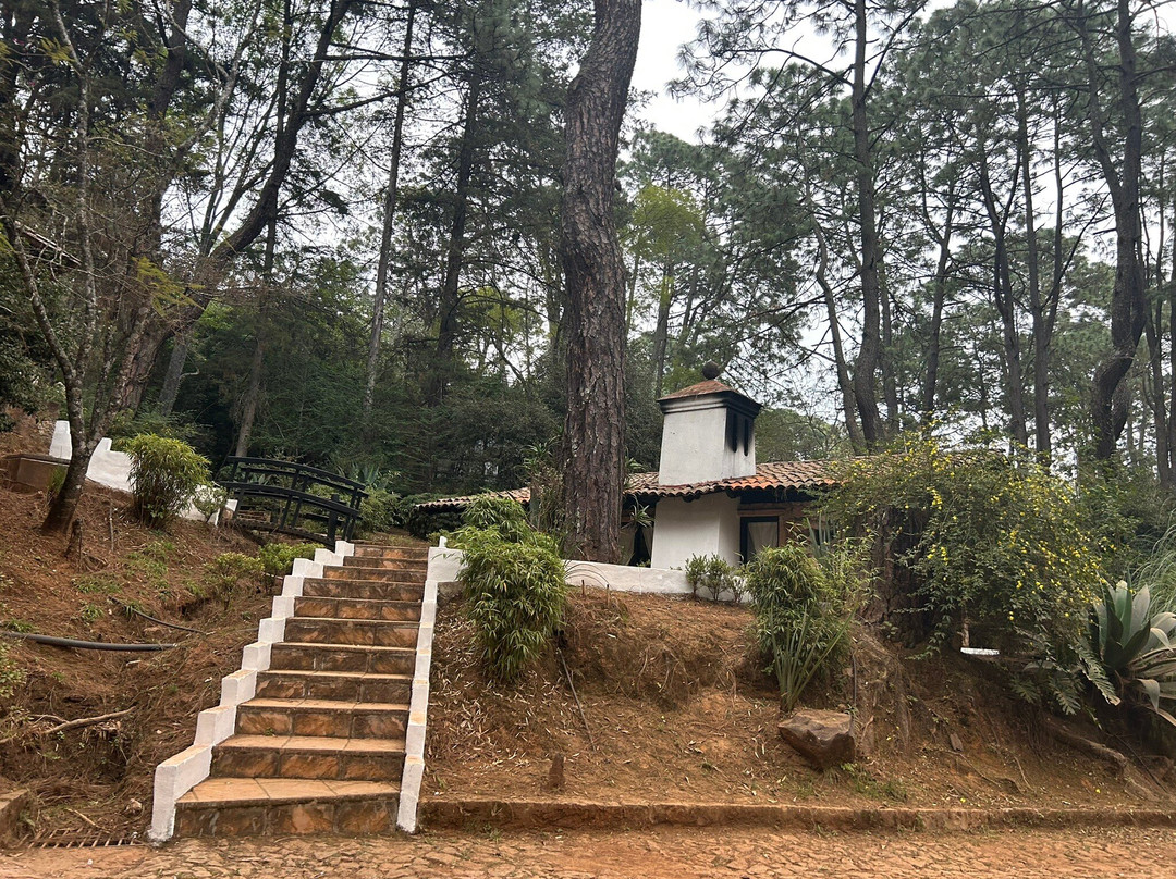 Monteverde Hotel de Cabanas主图