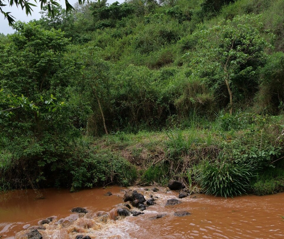 Royale Leisure Park-Thika必去景点