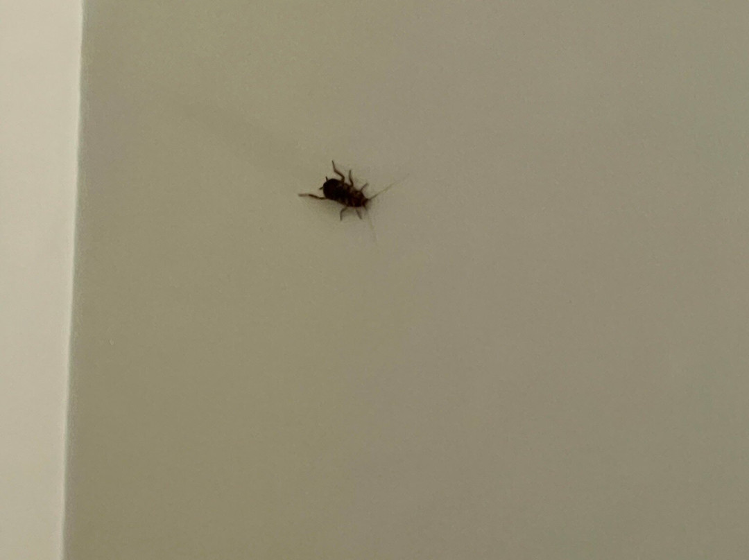 Comfort Hotel Pacific Cleveland主图