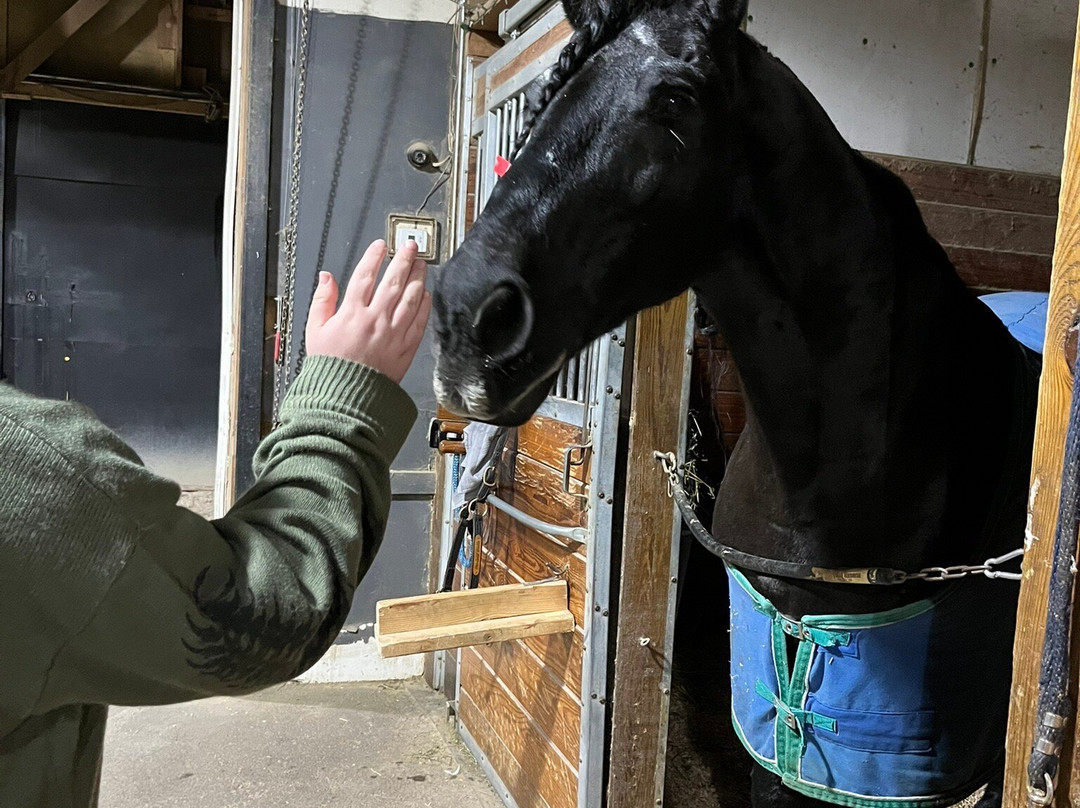 The Dancing Horses Theatre-Delavan必去景点
