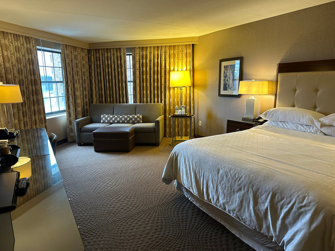 Sheraton Parsippany Hotel主图