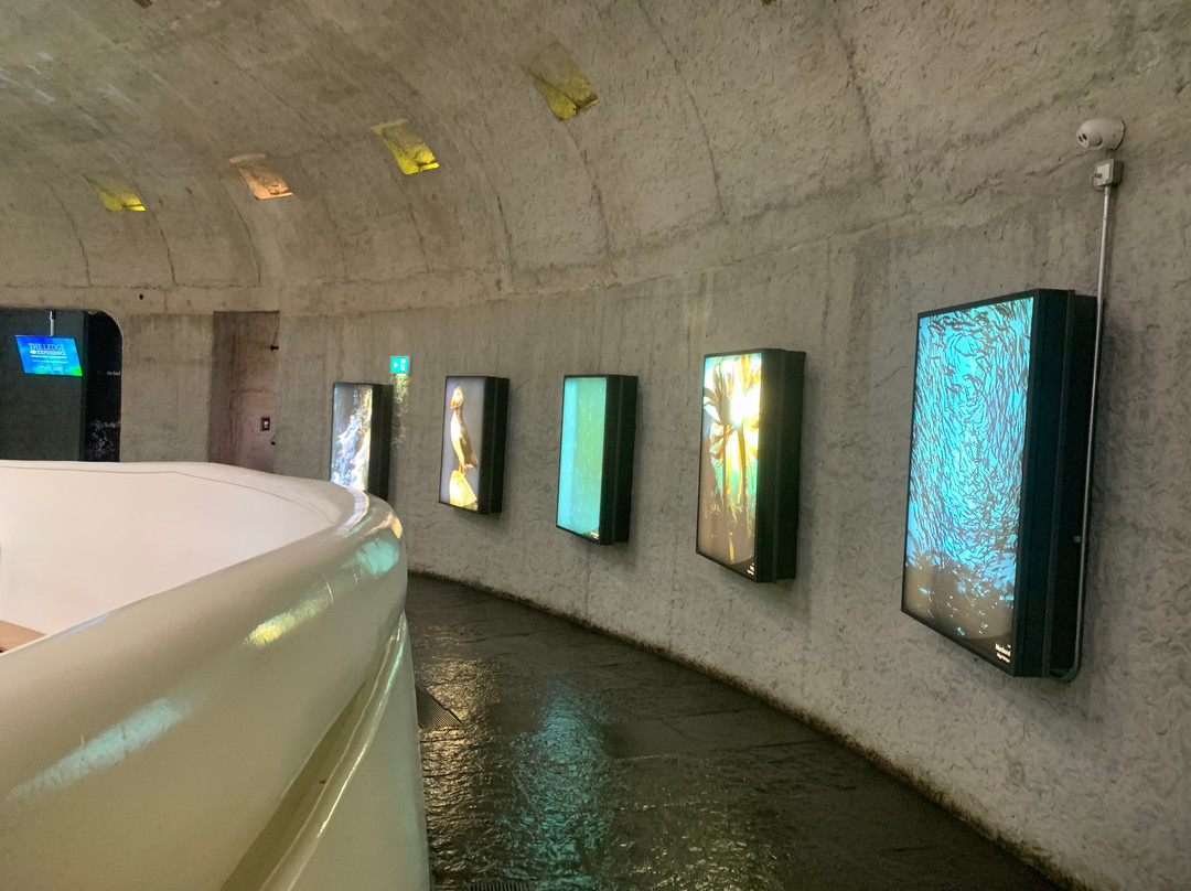 Cliffs of Moher Visitor Centre-Liscannor必去景点
