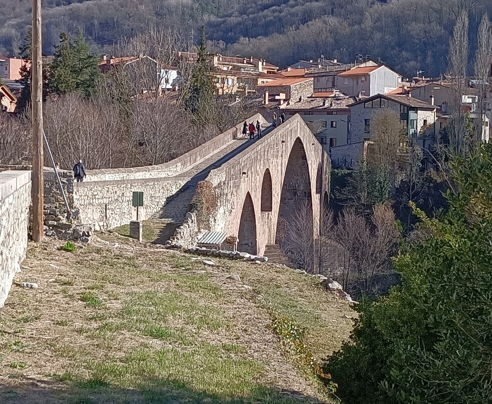 Pont Vell景点图片