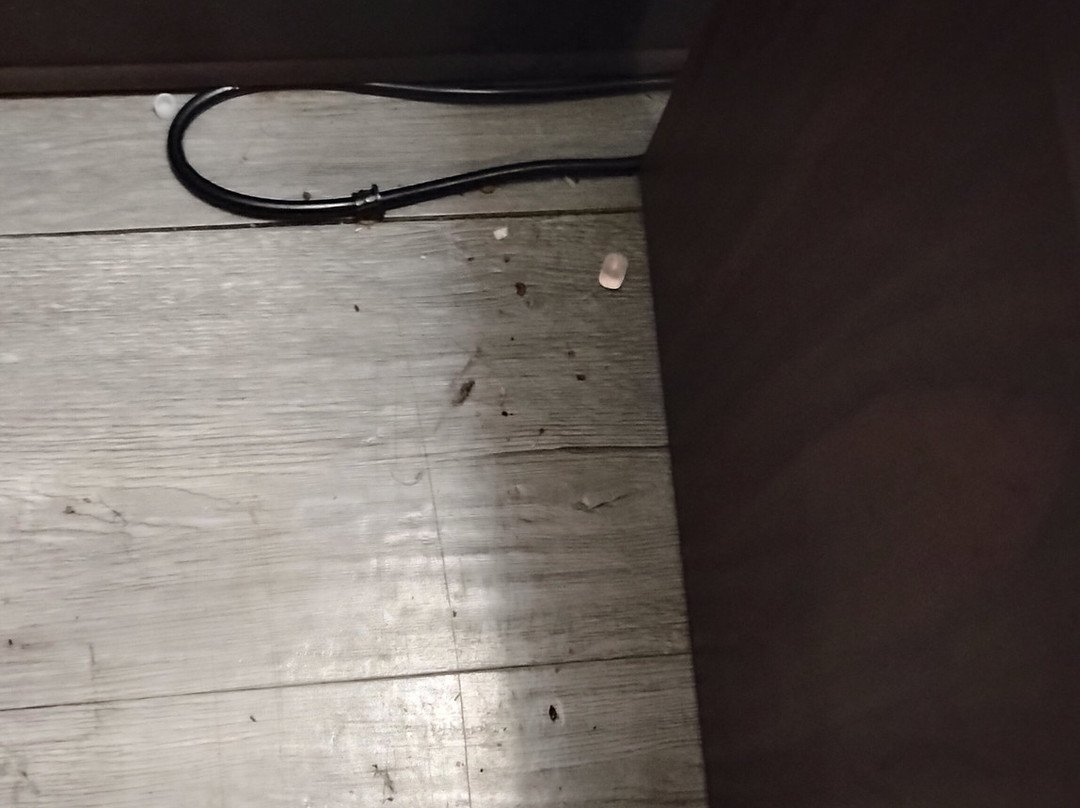 Super 8 by Wyndham Corbin/London KY主图