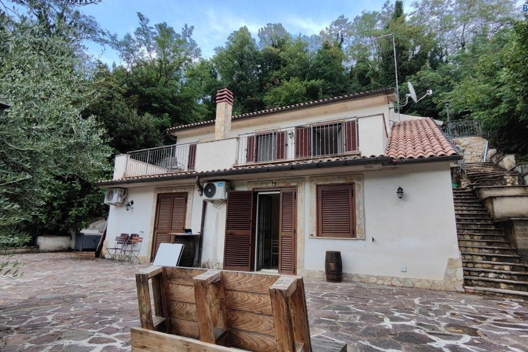 Il Mastro del Lago