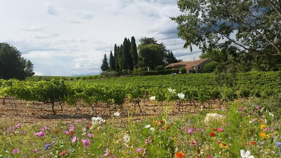 Château L'Arnaude主图