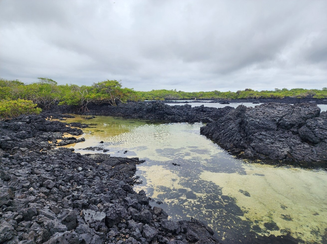 Galapagos Path景点图片