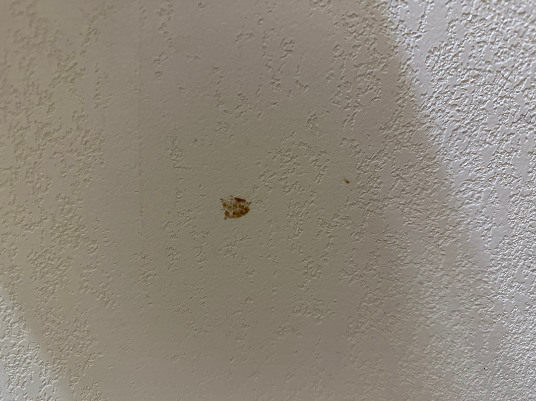 Howard Johnson by Wyndham Saugerties主图