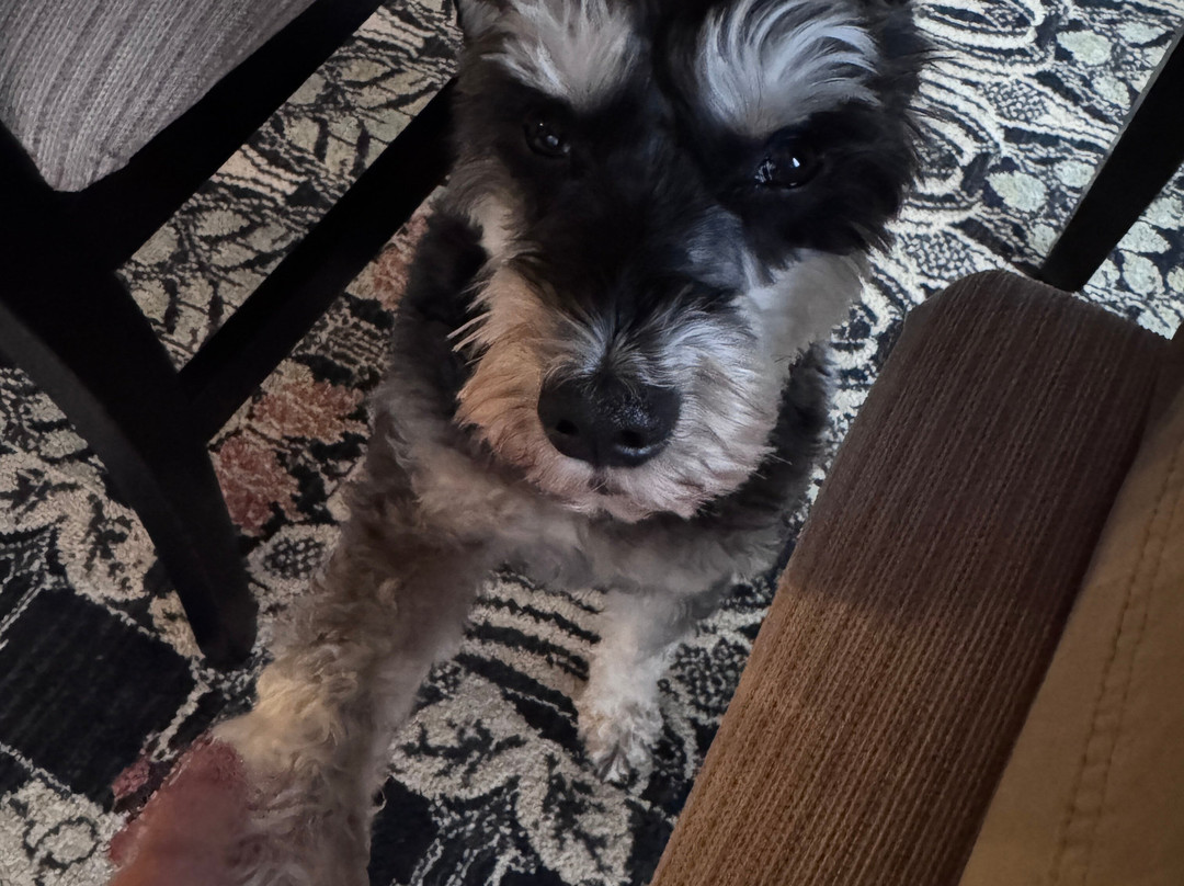 Inn at the River主图