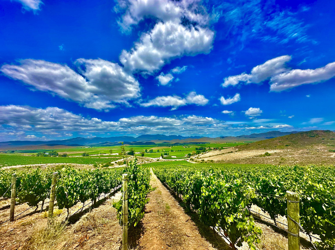 De Wetshof Estate-Robertson必去景点