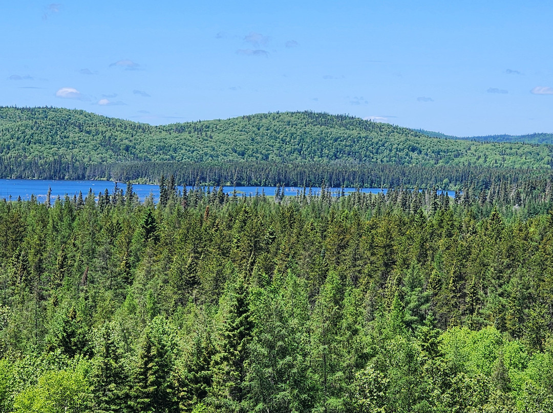 Wawa Goose Statue-Wawa必去景点