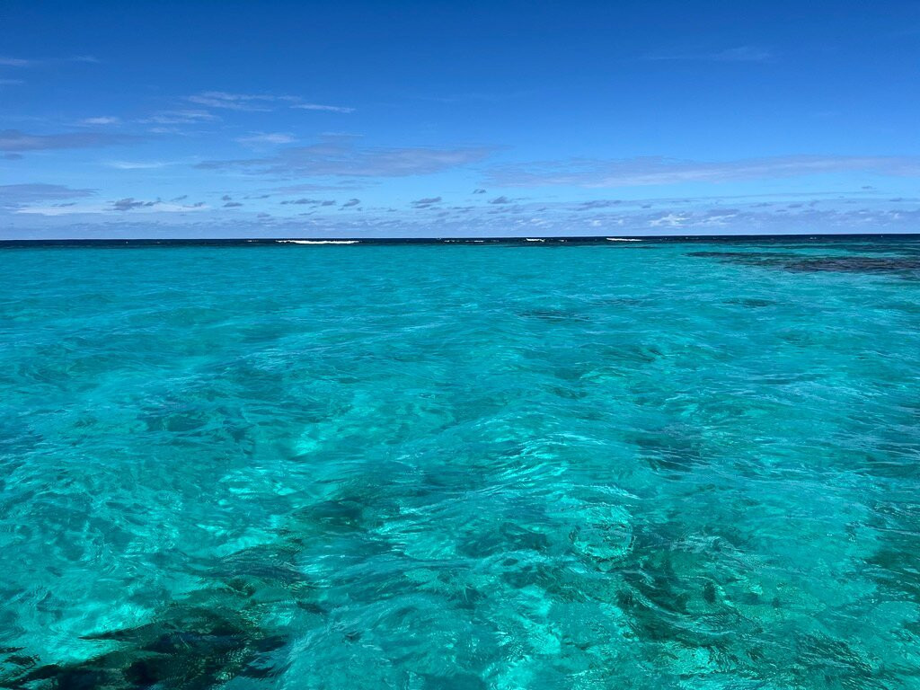 Special 'D' Diving & Charters-West End Village必去景点